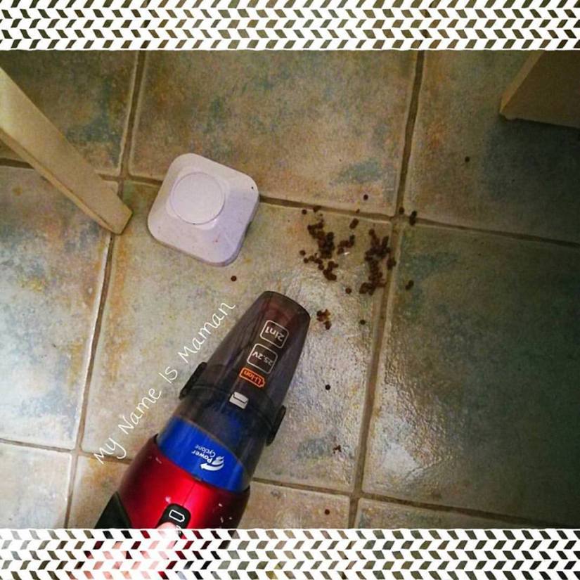 15826287_1396539890376850_3352135432849133541_n