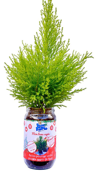 Screenshot_2018-10-21 Blue Farmers Sapin de Noël à faire pousser FABRIQUE EN FRANCE Sapin à faire pousser soi-même Cadeau o[...].png