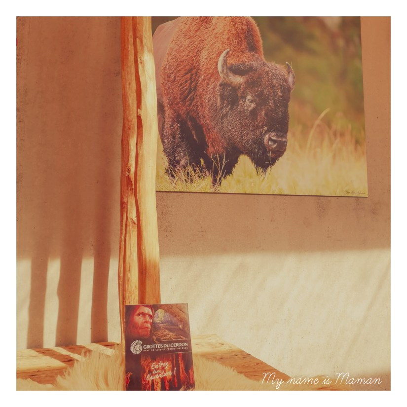 InShot_20190421_105239960