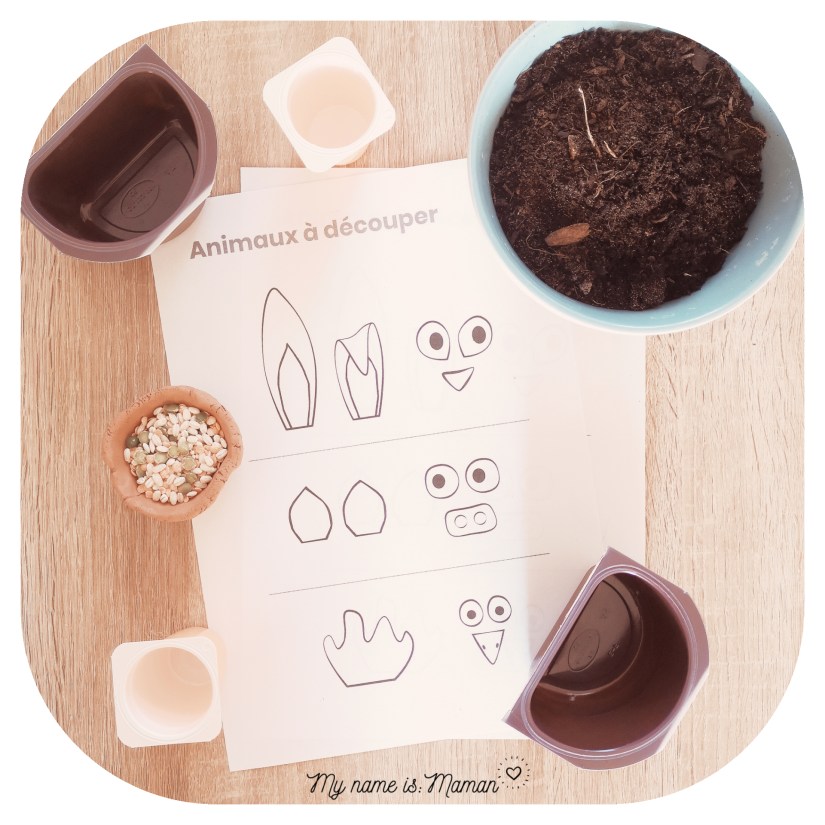 InShot_20200325_144550141